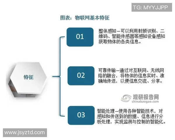 克洛格的崛起与发展：探索其在全球市场中的独特定位与创新策略